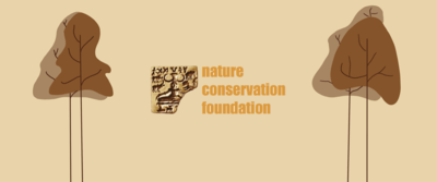 NCF
