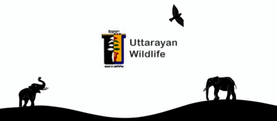 Uttarayan Wildlife