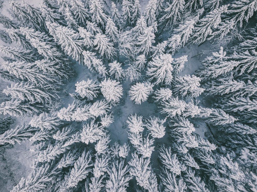 snow